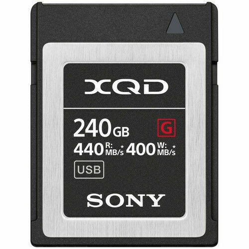 Scheda memoria 240 sony - scheda, gb