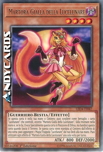 Martora gialla della - gialla,