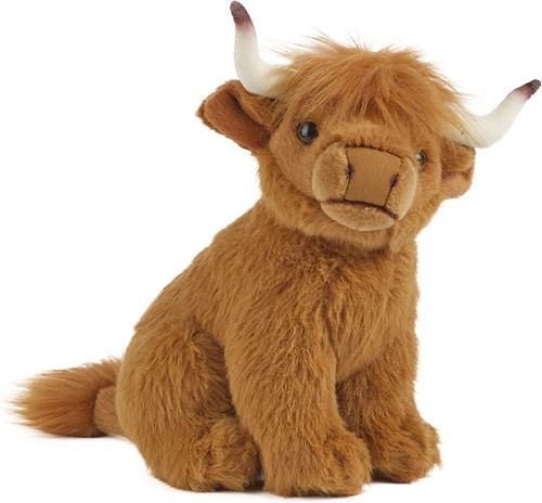 Mucca delle highlands - mucca,