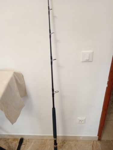 Daiwa sensor big game - daiwa,