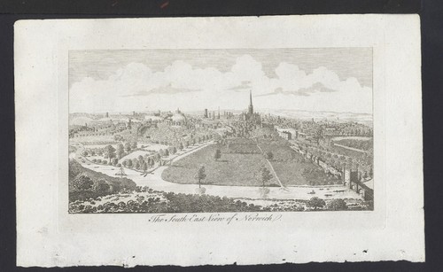 Norwich metcalf rara - norwich,