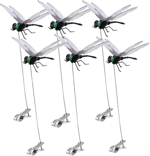 Confezione clip libellula - confezione, libellula,3d