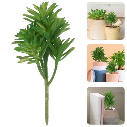 Pianta grasse finte ornamenti - ,
