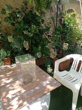 Vaso con base quadrata in Cristallo