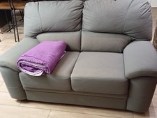 Vendo due divani a due posti