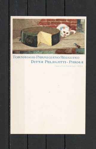 Cartolina formaggio - cartolina,