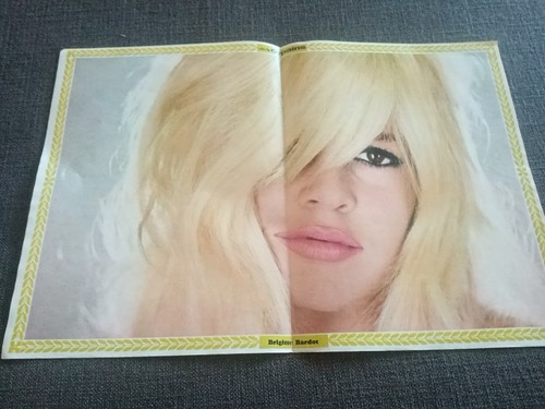 Brigitte bardot salut les