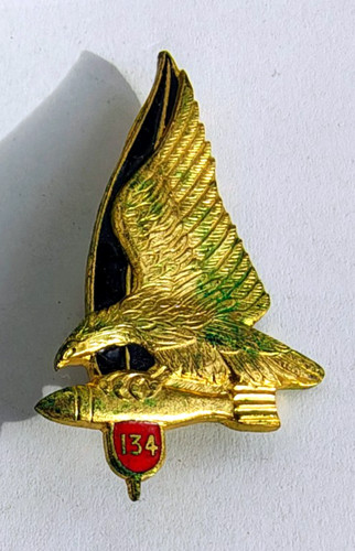 Alpini distintivo 134°