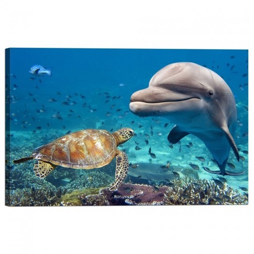 Quadro stampa tela con - quadro, su