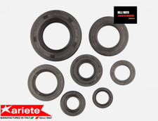 KIT PARAOLI REVISIONE MOTORE per HONDA XL 600 LM Paris Dakar, RM (PD04)