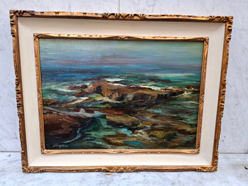 Rarissima trasparenza marina - ''trasparenza,