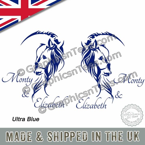 Adesivi horsebox - adesivi,