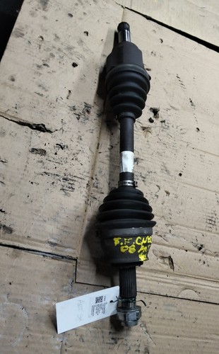 51934091 semialbero ant - semialbero,