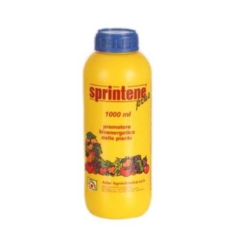 Sprintene regolatore promotore - regolatore,