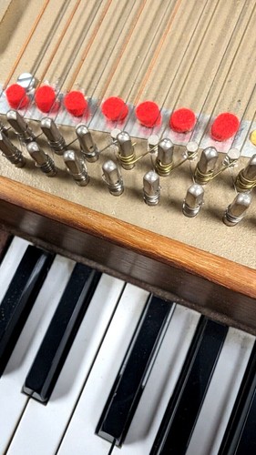 Harpsichord mutes for sabathil - mutes,