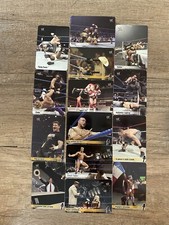 14 Carte Miste Wrestling WWE Smack Down e Raw (A)