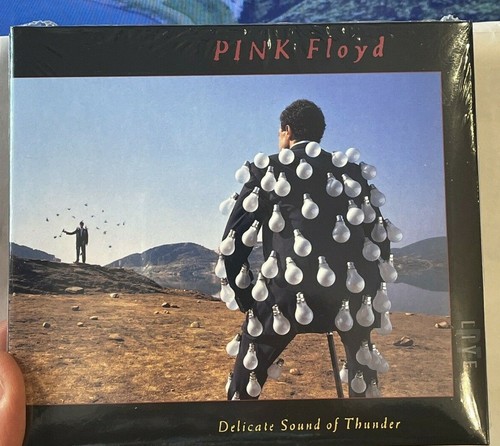 Pink floyd delicate - pink, of