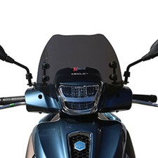 CUPOLINO FACO 29090 PIAGGIO