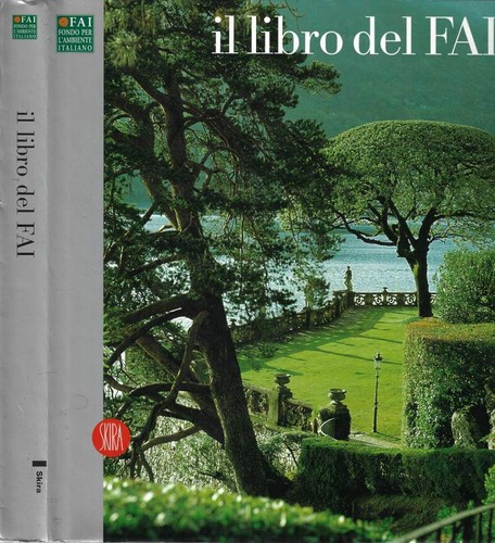 Libro del fai lucia - il,