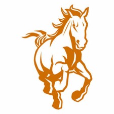 Kit 2 adesivi tuning CAVALLO horse custom decals