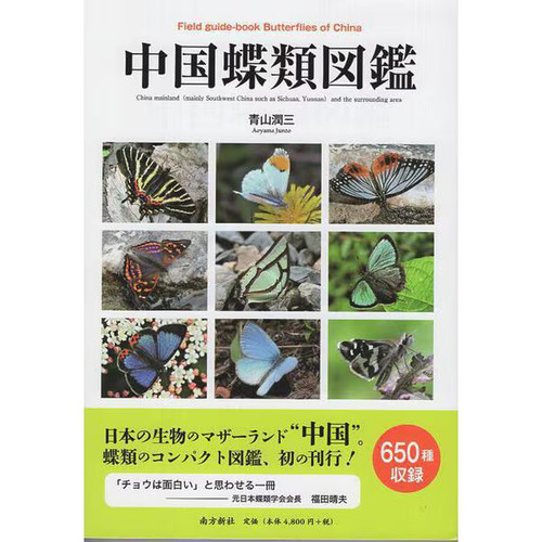 Chinese butterflies - chinese,