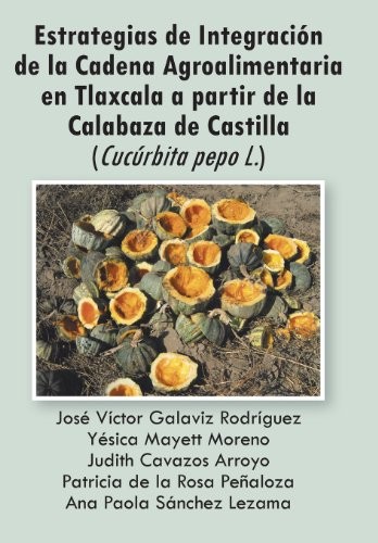 Estrategias de integracion - estrategias,