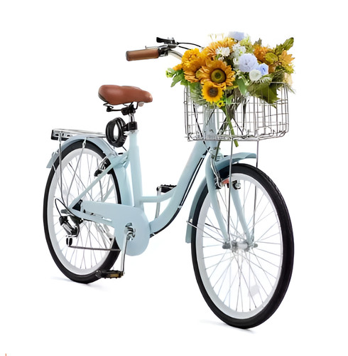 Fahrrad zoll citybike - fahrrad,