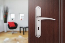 BB Maniglia Porta Con Piastra