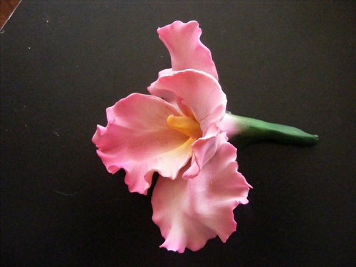 Capodimonte orchidea rosa - capodimonte,