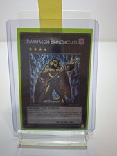 SCARAFAGGIO BRANCOACCIAIO