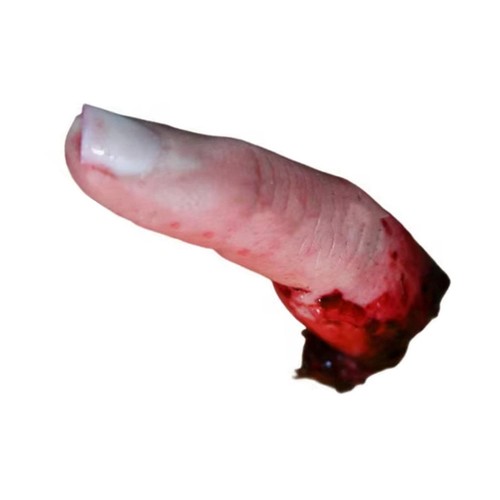 Dito halloween finto - dito,