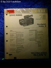 Manuale Di Servizio SONY CCD
