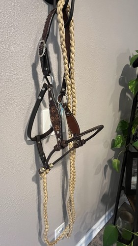 Supporto taglia cavallo - , ibrido
