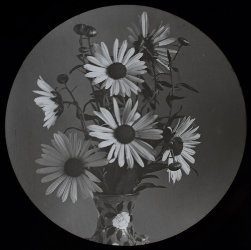 Flowers vase no12 daisies - no12,