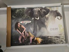 Calendario Pirelli 2009 di