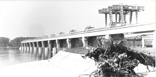 Foto autore isola serafini - foto, "isola