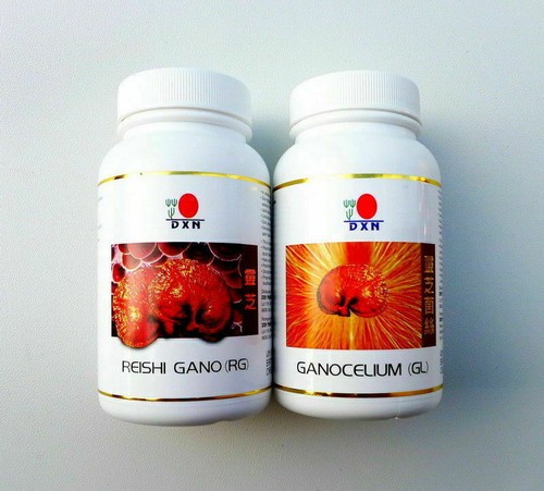 Dxn reishi gano - dxn,