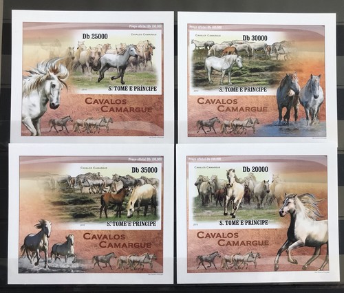 Cavalli funghi les chevaux - cavalli, /