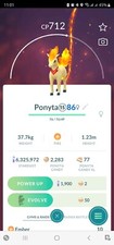 Ponyta (accessorio a tema
