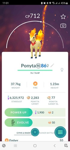 Ponyta accessorio tema - ponyta,