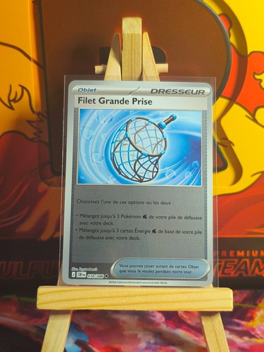 Carte pokémon filet grande - pokémon,