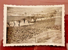 foto d'epoca navelli l'aquila