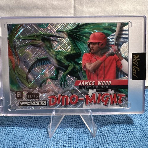 2024 wild card dino might - 2024,