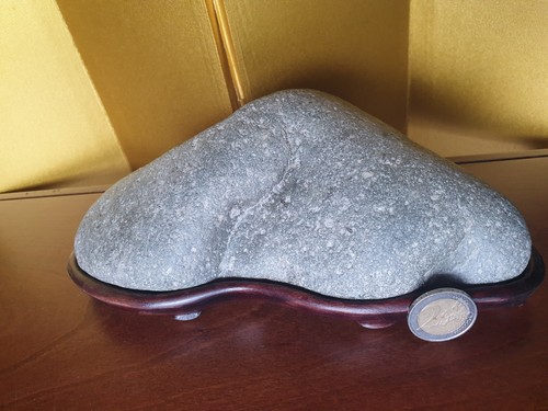 Suiseki porfido grigio - suiseki,