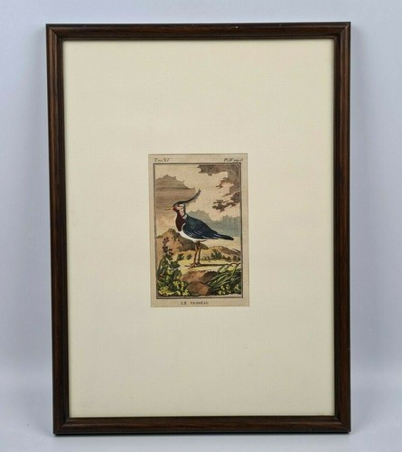 Antica stampa antique - stampa,