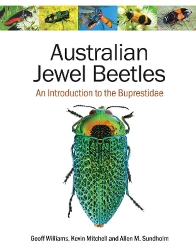 Australian jewel beetles an - australian,