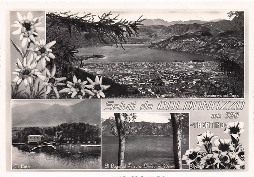G4735 cartolina saluti - g4735),