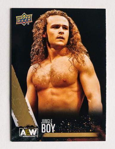 Jungle boy 2021 upper deck - upper, aew