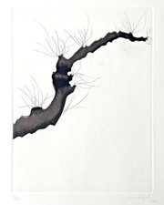 CARLO MATTIOLI - Gli alberi V