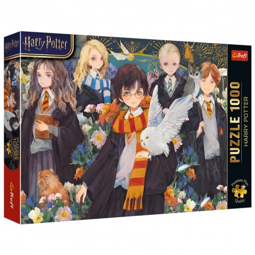 Puzzle 1000 harry - harry, potter